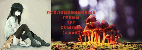 крисы Алексин