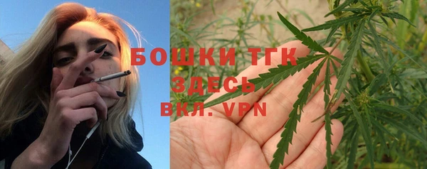 крисы Алексин