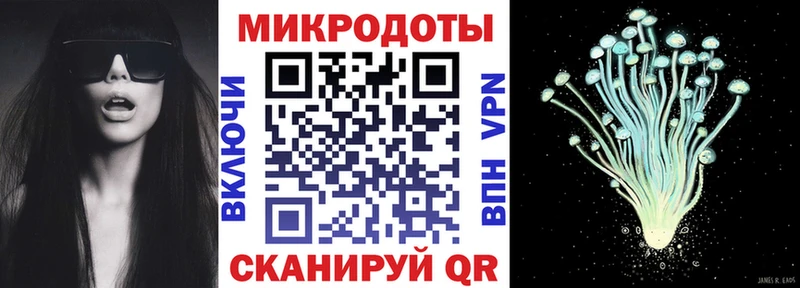 блэк спрут зеркало  Чебоксары  Псилоцибиновые грибы мицелий 