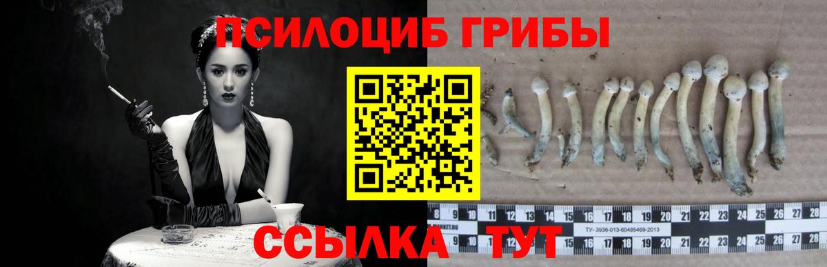 Галлюциногенные грибы ЛСД  Вход с VPN  Чебоксары 