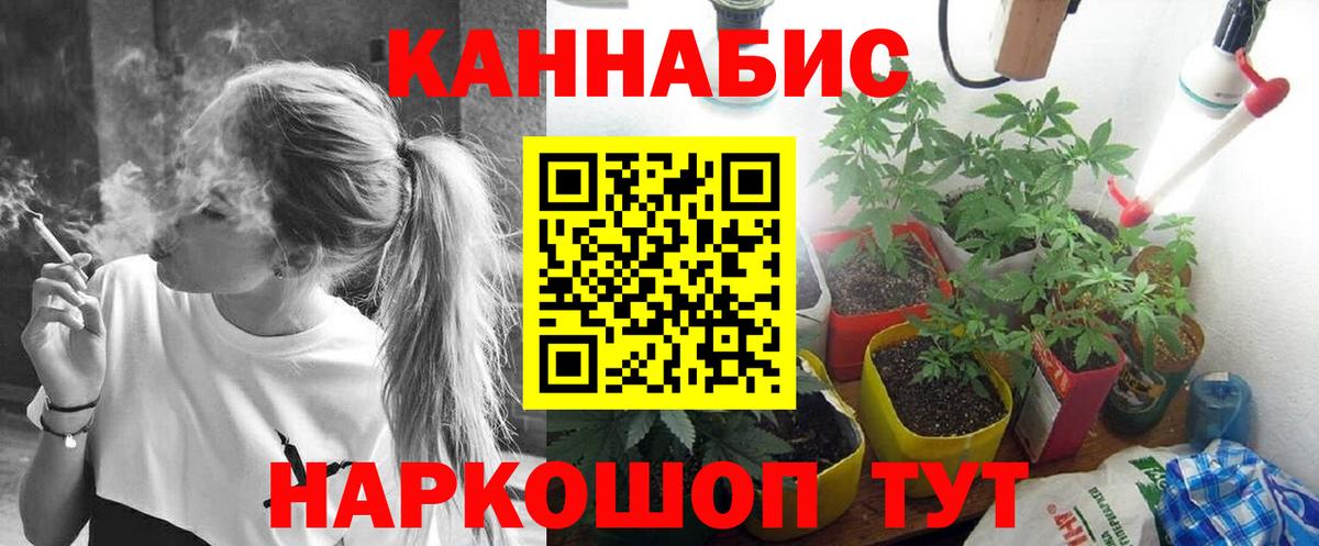 Бошки марихуана MAZAR Чебоксары